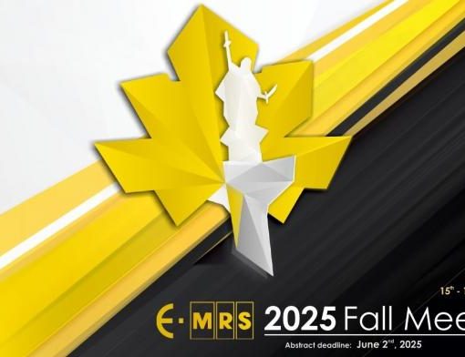 emrs_2025_youngresearch