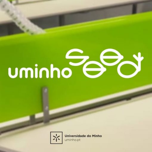 uminho_seed