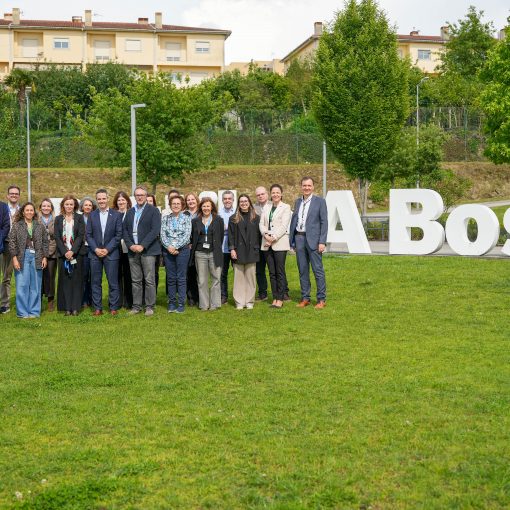bosch_posgrad